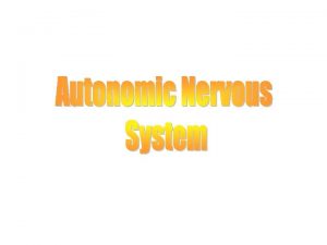 The autonomic nervous system controls