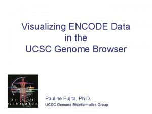 Visualizing ENCODE Data in the UCSC Genome Browser