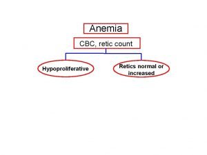 Hypoproliferative anemia