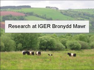 Research at IGER Bronydd Mawr Less Favoured Areas