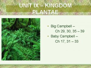 UNIT IX KINGDOM PLANTAE Big Campbell Ch 29