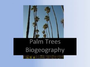 Palm Trees Biogeography By Ginger Burns Scientific Classification