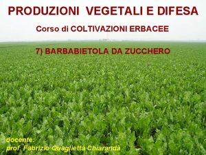 PRODUZIONI VEGETALI E DIFESA Corso di COLTIVAZIONI ERBACEE