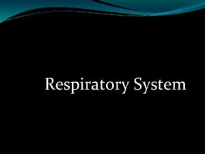 The respiratory system The respiratory system