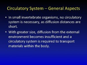 Circulatory System General Aspects In small invertebrate organisms