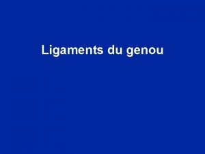 Ligaments du genou Rappel anatomique vues internes Le