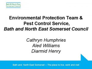 Pest control bath and north east somerset