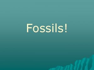 Fossils What is a fossil Fossils are any