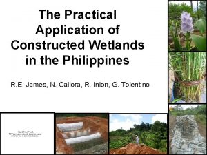 The Practical Application of Constructed Wetlands in the