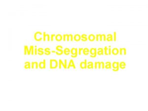 Chromosomal MissSegregation and DNA damage Consolato Sergi M