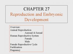 CHAPTER 27 Reproduction and Embryonic Development Overview Animal