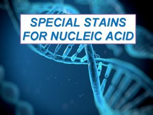 SPECIAL STAINS FOR NUCLEIC ACID Histochemistry Based on