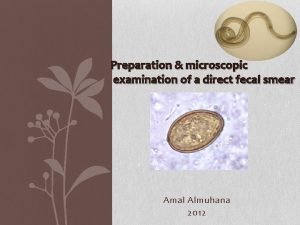 Preparation microscopic examination of a direct fecal smear