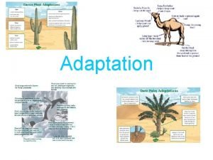 Adaptation Adaptation Adaptation is a special characteristic that