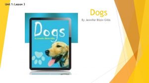 Dogs by jennifer blizin gillis