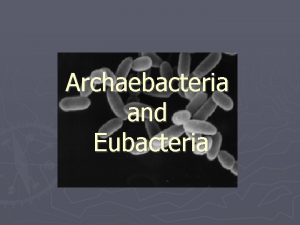 Archaebacteria and Eubacteria What are bacteria Bacteria are