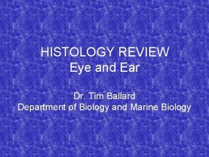 HISTOLOGY REVIEW Eye and Ear Dr Tim Ballard