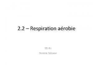 2 2 Respiration arobie SBI 4 U Dominic