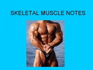 Skeletal muscle crash course