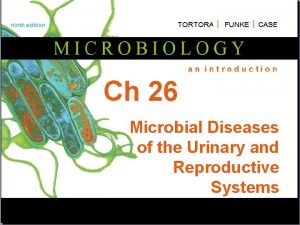Ch 26 Microbial Diseases of the Urinary and