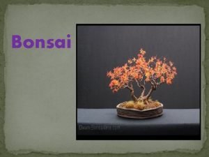 Bonsai BONSAI is a Japanese word Its meaning