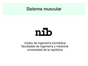 Sistema muscular ncleo de ingeniera biomdica facultades de