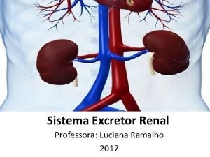 Sistema Excretor Renal Professora Luciana Ramalho 2017 Introduo