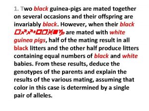 Two black guinea pigs were mated