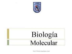 Biologa Molecular Prof Fresia Quintana Jara Domingo 14