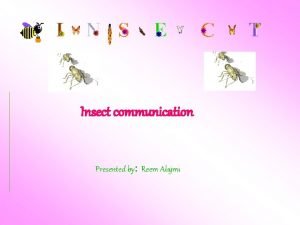 Insect communication Presented by Reem Alajmi Contents Introduction