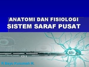 Anatomi fisiologi sistem saraf pusat