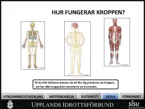 HUR FUNGERAR KROPPEN P den hr lektionen kommer