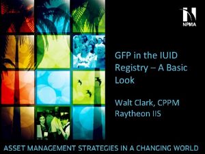 GFP in the IUID Registry A Basic Look