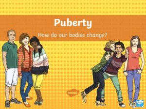 What happens to girls during puberty