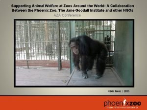 Supporting Animal Welfare at Zoos Around the World