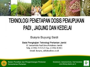 Tabel pemupukan padi sawah Tabel pemupukan padi sawah