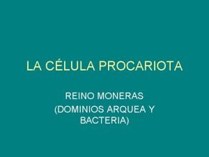 LA CLULA PROCARIOTA REINO MONERAS DOMINIOS ARQUEA Y