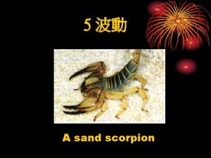 Sand scorpion