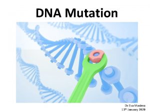 DNA Mutation Dr Eva Masiero 13 th January