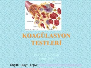 KOAGLASYON TESTLER MEHMET YANAR kasm2009 Salk Slayt Arivi