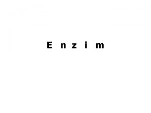 Enzim