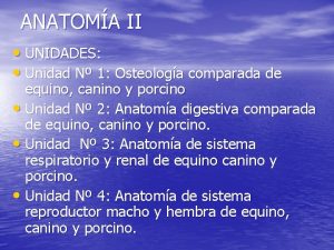 ANATOMA II UNIDADES Unidad N 1 Osteologa comparada