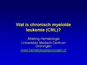 Wat is chronisch myelode leukemie CML Afdeling Hematologie