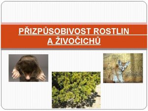 PIZPSOBIVOST ROSTLIN A IVOICH Zkladn kola Choltice okres