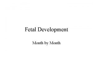 Fetal Development Month by Month First Month By