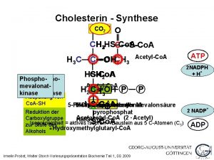 Cholesterin Synthese CO ADP Pi 2 O COO
