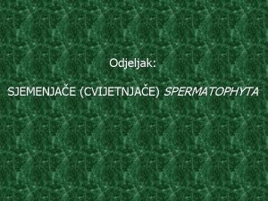 Odjeljak SJEMENJAE CVIJETNJAE SPERMATOPHYTA SJEMENJAE CVIJETNJAE SPERMATOPHYTA Ope