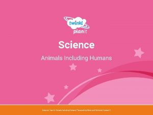 Science Animals Including Humans Year One Science Year