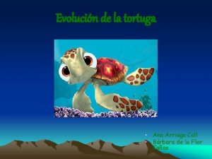 Evolucin de la tortuga Ana Arriaga Coll Brbara