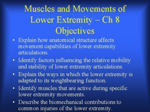 Muscles and Movements of Lower Extremity Ch 8